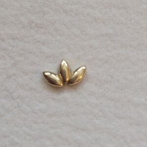 Bvla lily fan 14k gold piercing